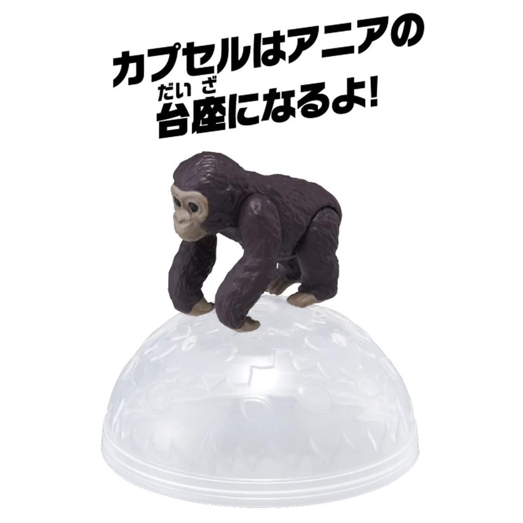 TAKARA TOMY "Ania AC-03 Gorilla (Child)" Animal Dinosaur Realistic Moving Figure Toy for Ages 3 and Up, Meets Toy Safety Standards, ST Mark, ANIA