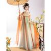 Dames Tang Dynastie Hanfu Jurk, Oude Chinese Traditionele Gewaad, Wapperend Feeën Cosplay Kostuum Voor Fotoshoot Feest