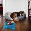 Dog Chew Toy for Aggressive Chewers for Tough Nylon and Rubber Bone Toy Beef Flavor Toothbrush for Small Dogs Teething