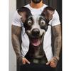 Summer Round Neck 3D Funny Big Eyes Dog Pattern Print Top Fashionable Casual Short Sleeved Men's T-shirts