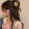 Plastic Flower Hair Claw Geometry Plastic Shark Clip Creative Hair Crab Clip  Vacation