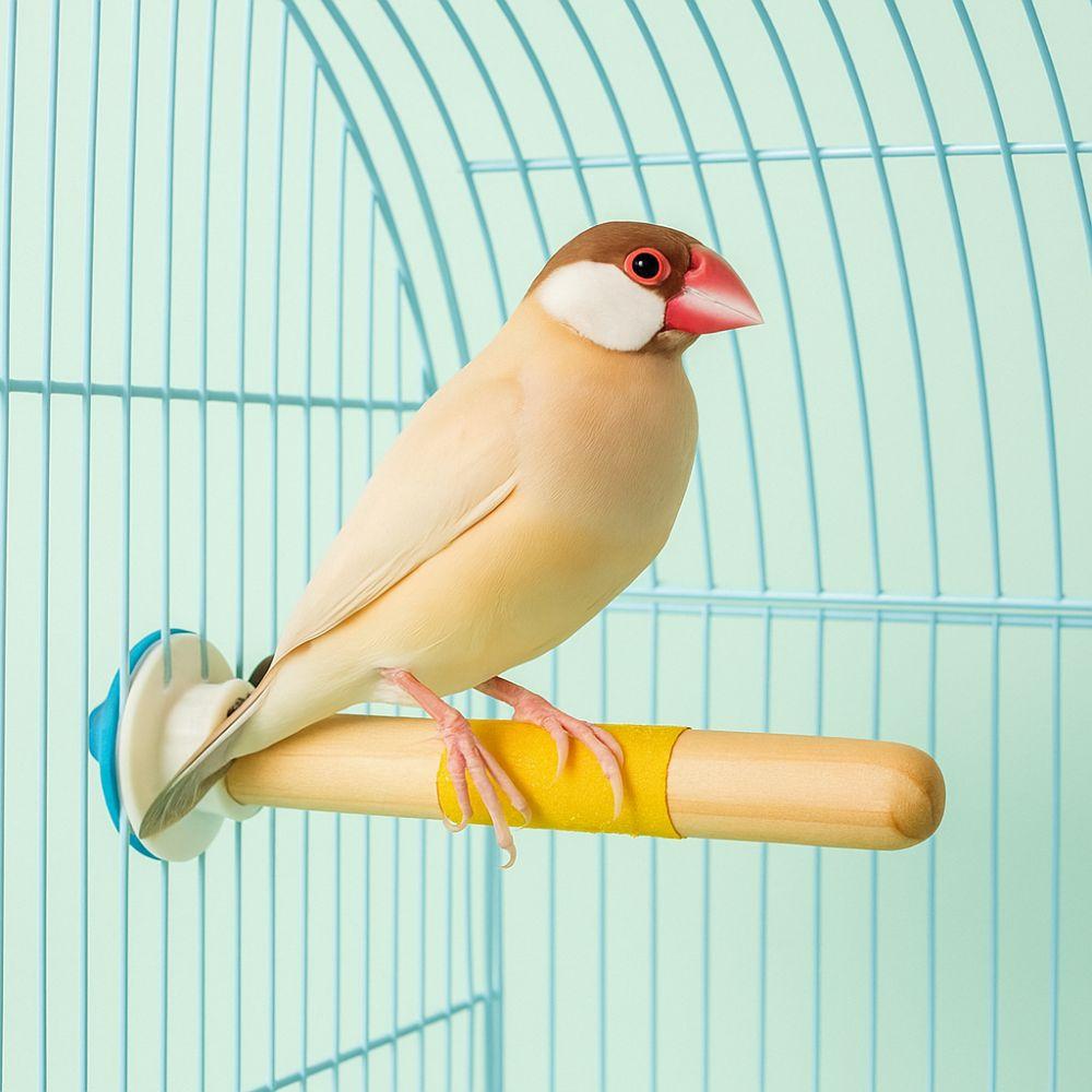 Bite Resistant Parrot Standing Pole Wear Resistant Bird Claw Grinding Rod Claw Maintenance