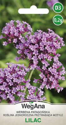 Patagonian Verbena Lilac Seeds 0.2g Patagonian Verbena -