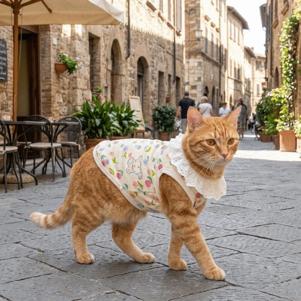Cute Cartoon Print Lace Collar Dog Vest Thin Soft Summer Pet Clothes with D-Ring Breathable Cat Cooling Vest Daily Wear