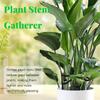 Plant Stem Support Climbing Houseplant Stem Supports 4PCS Vine Fixed Clips for Climbing Plant Stems Support and Vines Grow