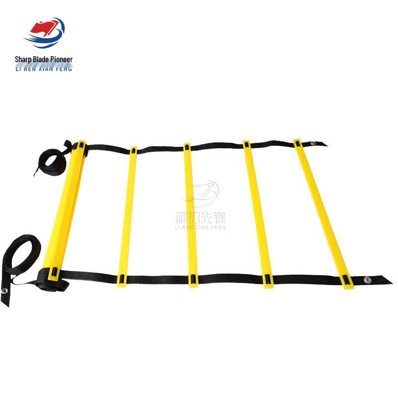 Agility Training Ladder