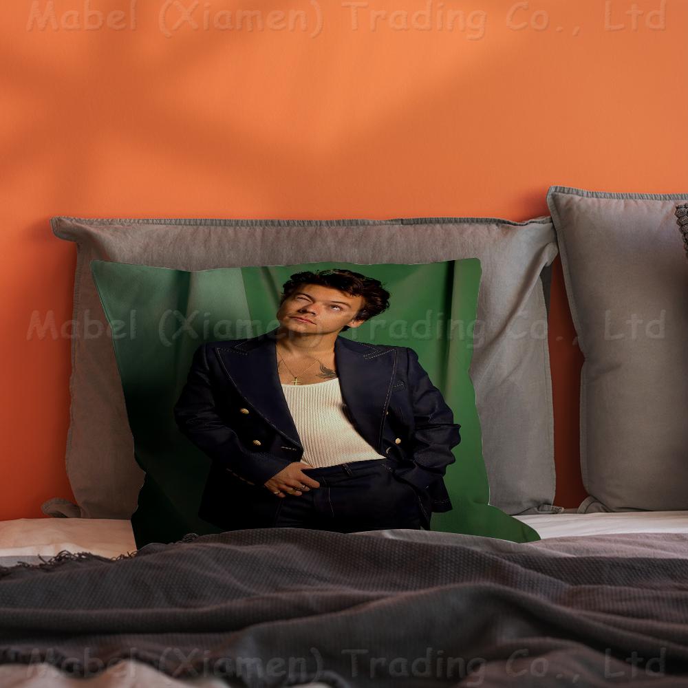 Sänger H-Harrys S-Styles Personalisierte Bildtext Heimdekorationskissen Haushaltsgeschenke 45x45cm