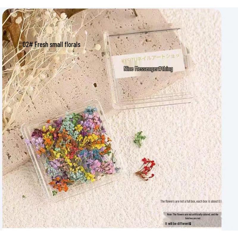 Japanese Fresh Dried Flower Nail Art Decorations: Colorful Petals & Mixed Materials for DIY