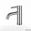 TLXT Brushed 304 Stainless Steel Single Cold Faucet