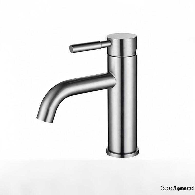 TLXT Brushed 304 Stainless Steel Single Cold Faucet