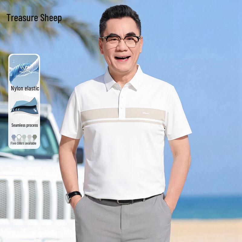 

Men s Ice Silk Short Sleeve Polo Shirt 180