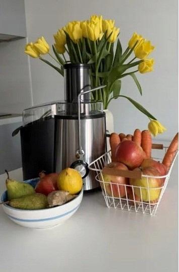 MPM MSO-18M juicer