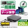 Elecom 250GB External SSD with Docking Station Function [HDMI/USB-C/USB-A/USB PD 100W Support] Compatible with Mac/iPad/Windows ESD-DSA0250GBK