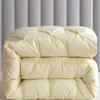 Cotton Duvet 95 White Goose Down Winter Quilt Cotton Hotel Spring and Autumn Quilt Core Gift Winter Quilt