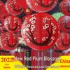 Ancient Style Lanterns: Japanese & Chinese Festive Paper Decorations