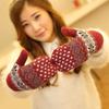 Unisex Double-Layer Thickened Fingerless Gloves with Rabbit Wool for Couples