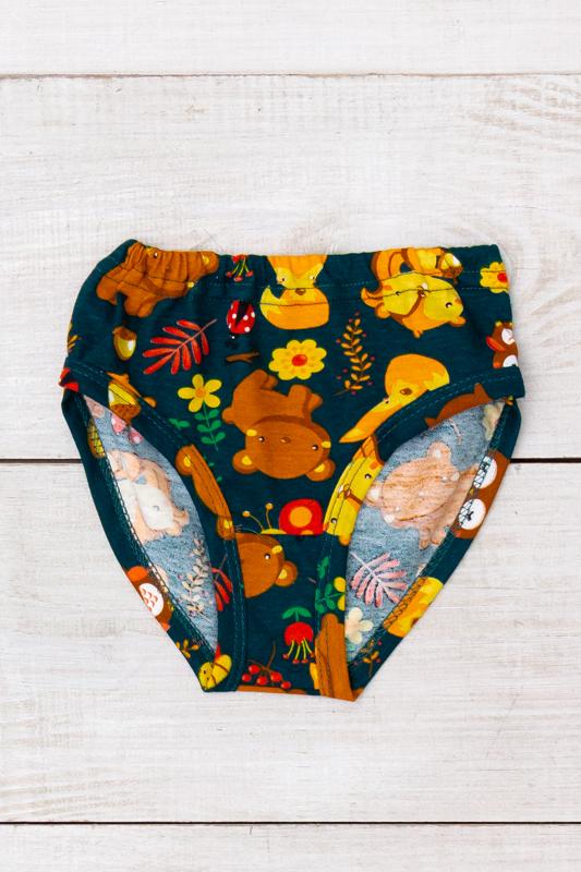 Underwear – Girls' Classic Printed Briefs, Comfortable Fit, Any Season 272-002V HC