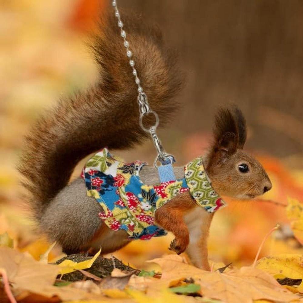 Traction Rope Ferret Harness and Leash Set Floral Pattern Pet Walking Harness  Pet Supplies