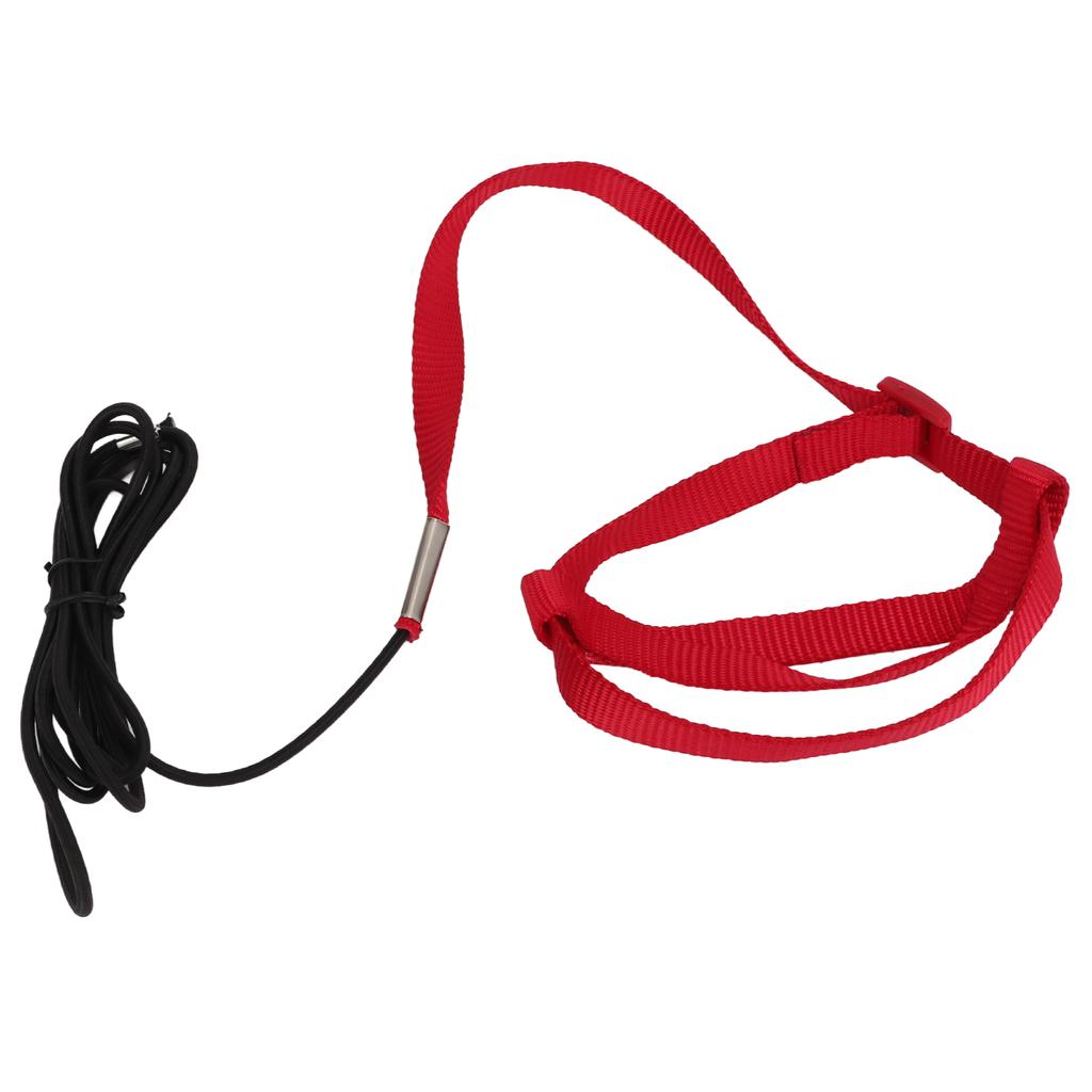 Bird Leash Bite Resistant Adjustable Parrot Flying Training Rope for Walking Attending PartyRed S