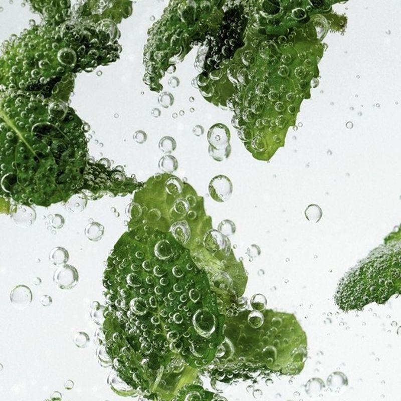 Nesh Mint Biome Scalp Deep Cleansing Shampoo 250ml & Treatment 250ml