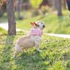 Sciarpa rinfrescante estiva per cani da compagnia Il design con coulisse regolabile previene il colpo di calore Stampa di cartoni animati alla moda