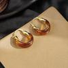 Pendant Vintage Women's Earrings Light Luxury Amber Ear Stud Amber Color Earrings  Party