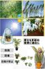 YFFSFDC Vinyl Greenhouse Pop-Up Plant Greenhouse Waterproof Windproof Rainproof Foldable PVC Cover Garden Greenhouse 70*70*80cm Safe from Long Summer