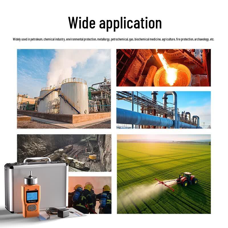 Multi-Gas Detector and Alarm System