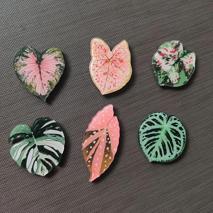 6pcs Begonia Monstera Magnetic Refrigerator Magnets, Kawaii Tropical Plants Refrigerator Magnets, Whiteboard Magnets