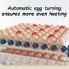 Intelligent Incubator Automatic Egg Turning Chicken/duck/goose/pigeon Eggs Incubator Temperature Control Breeding Incubators