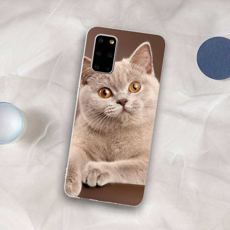 British Shorthair cat Phone Case for Samsung S21 A10 for Redmi Note 7 9 for Huawei P30Pro Honor 8X 10i cover