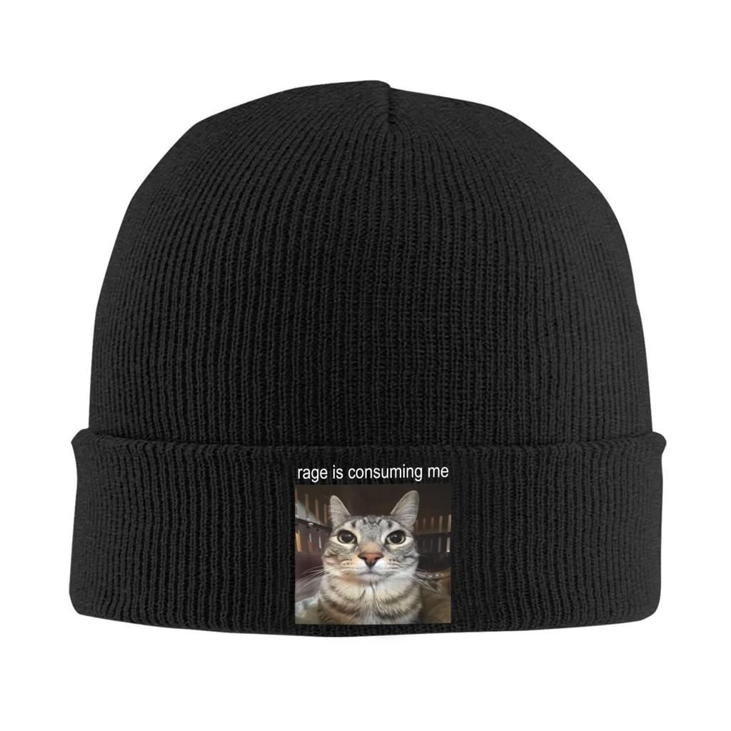 Rage Is Consuming Me Silly Staring Cat Beanie Hats Bonnet Hats Adult Unisex Casual Hippie Knit Hat Winter Custom Head Wrap Caps