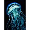 Vibrant Colorful Jellyfish Marine Wildlife Posters Nautical Coral Prints Canvas Painting Wall Art Picture Home Living Room Decor