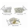 Educational Dog Tooth Model Transparent Dental Teaching Canine Animals Oral Tooth Jaw  Decoration