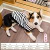 Pet Corgi Dog Clothes Spring and Autumn Clothing Anti-hair Loss Teddy Bichon Shiba Inu Small Dog Two-legged Striped Sweater Winter