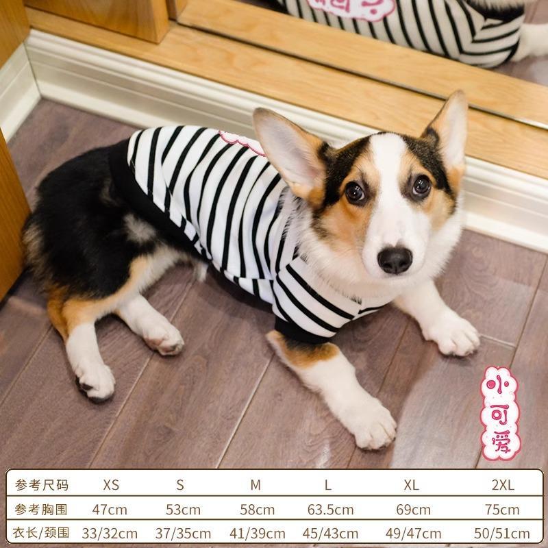 Pet Corgi Dog Clothes Spring and Autumn Clothing Anti-hair Loss Teddy Bichon Shiba Inu Small Dog Two-legged Striped Sweater Winter