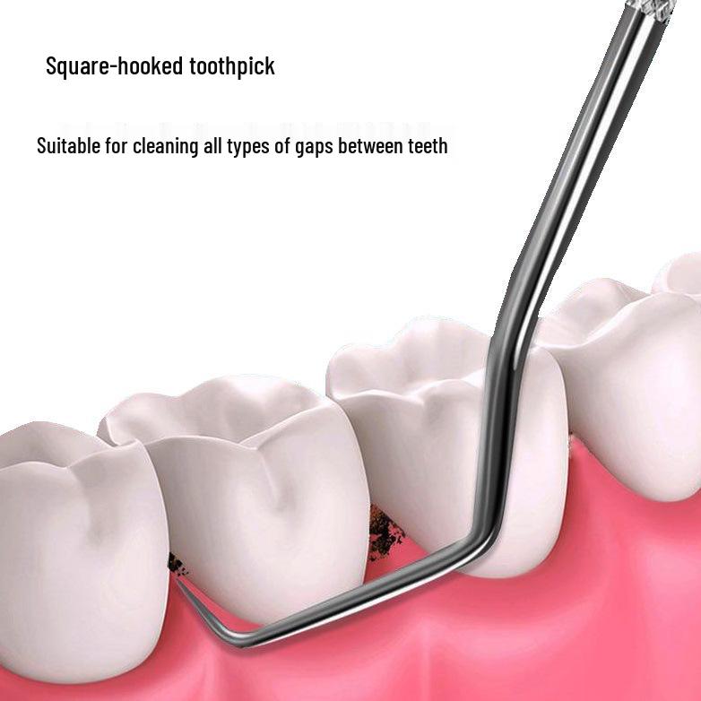 Portable 304 Stainless Steel Toothpick Set with Storage Tube for Oral Care