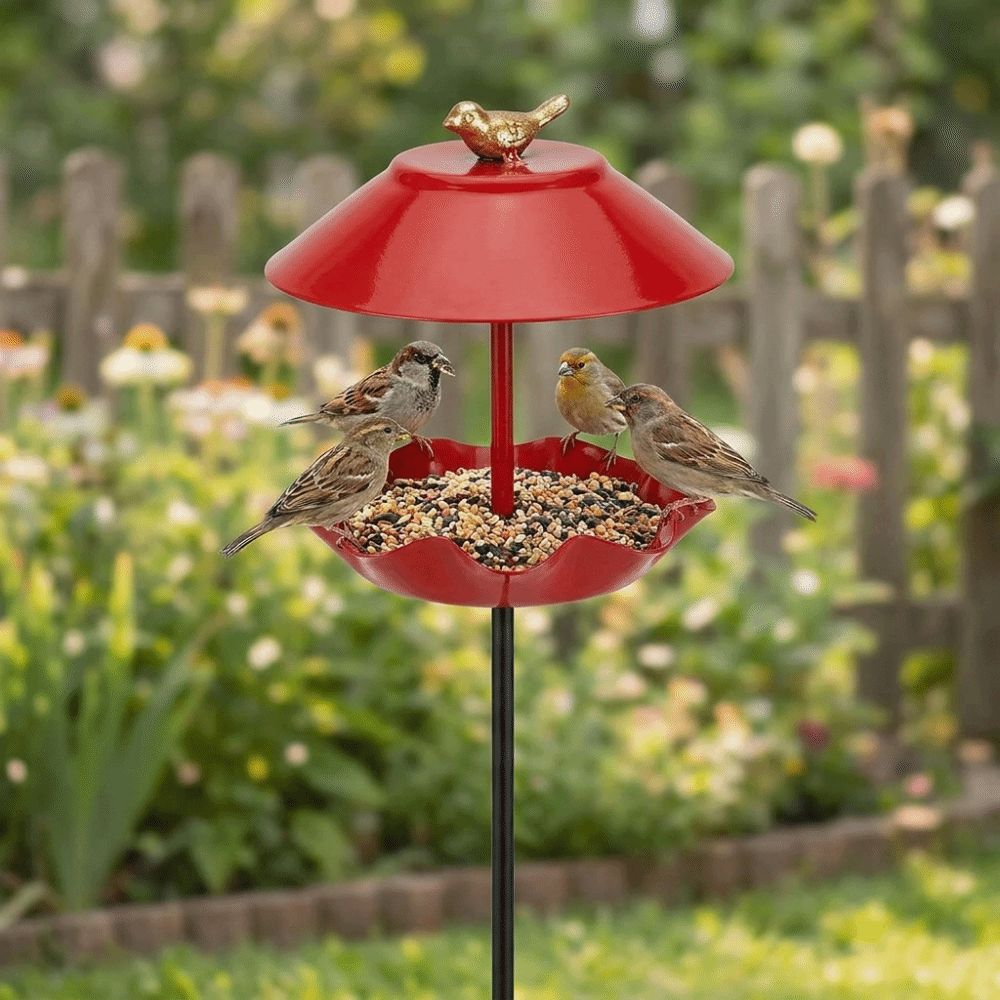 Large Capacity Bird Feeding Station Wavy Curved Petal Garden Bird Basin  Outdoor Decor