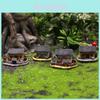 Decoración para el hogar
– Terrarios decorativos