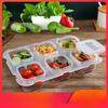 Upgraded 6-Compartment Food Sample Storage Box