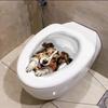 3D Toilet Wall Stickers, Bathroom Toilet Seat Cover Decoration And Self-adhesive Wall Stickers.