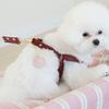MAISON DE MIU Running Mate Harness_Wine