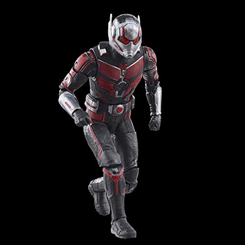 Hasbro Marvel Legends Series Ant-Man, Ant-Man and the Wasp: Quantumania 6-inch (15cm) Action Figure, Ages 4 and Up, F6573, Authentic