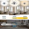 IRALAN Modern Ceiling Fan with Light Home and Decoration Smart Remote Control 50CM LED Large Home Fan