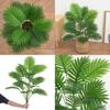 Dypsis Lutescens Fake Plant With Plastic Material For Home Decor And Photography Display