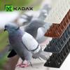 KADAX Taubenabwehrspitzen Stark Dichteste