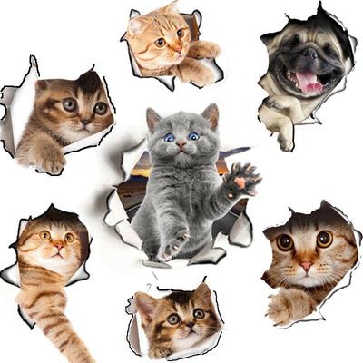 Bagno Decorativo Animali Gatti Cani Vivid View Decalcomanie da muro Adesivi per sedili WC