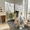 Large Capacity Hanging Hay Feeder Leak-Proof Pet Feeding Bag Hay Storage Bag  Indoor