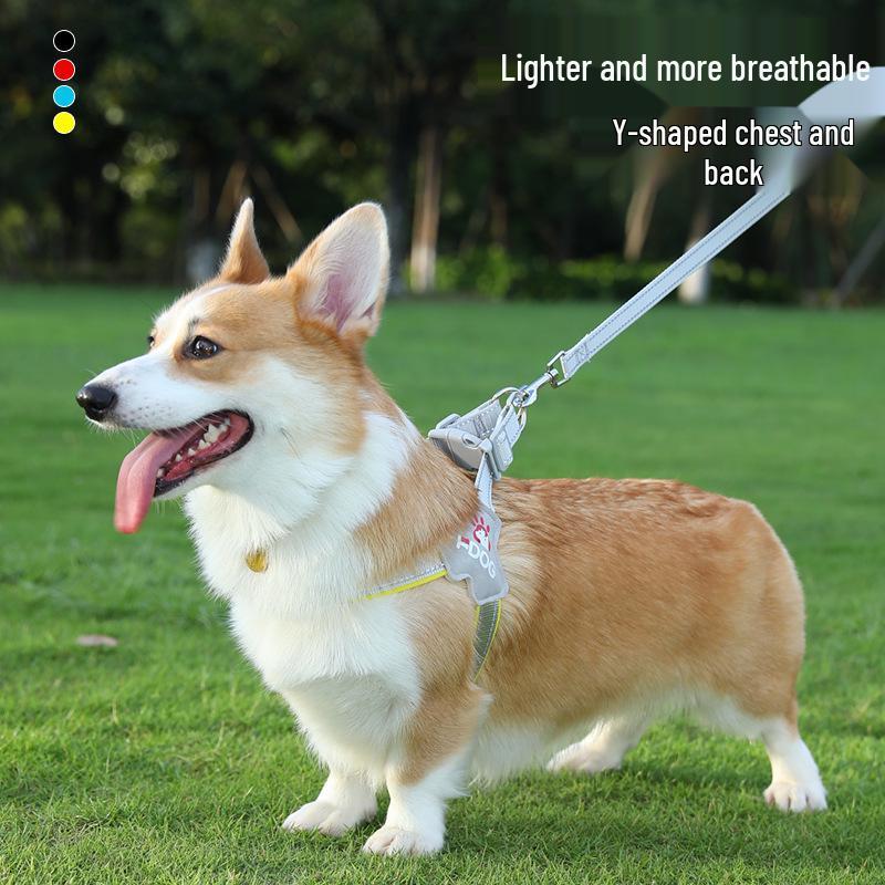 Extra Large Outdoor Pet Leash & Harness for Dogs and Cats