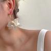 New Trendy Metal C-shaped Acrylic Flower Pendant Earrings for Women Vintage Coffee Petal Personality Earrings Jewelry